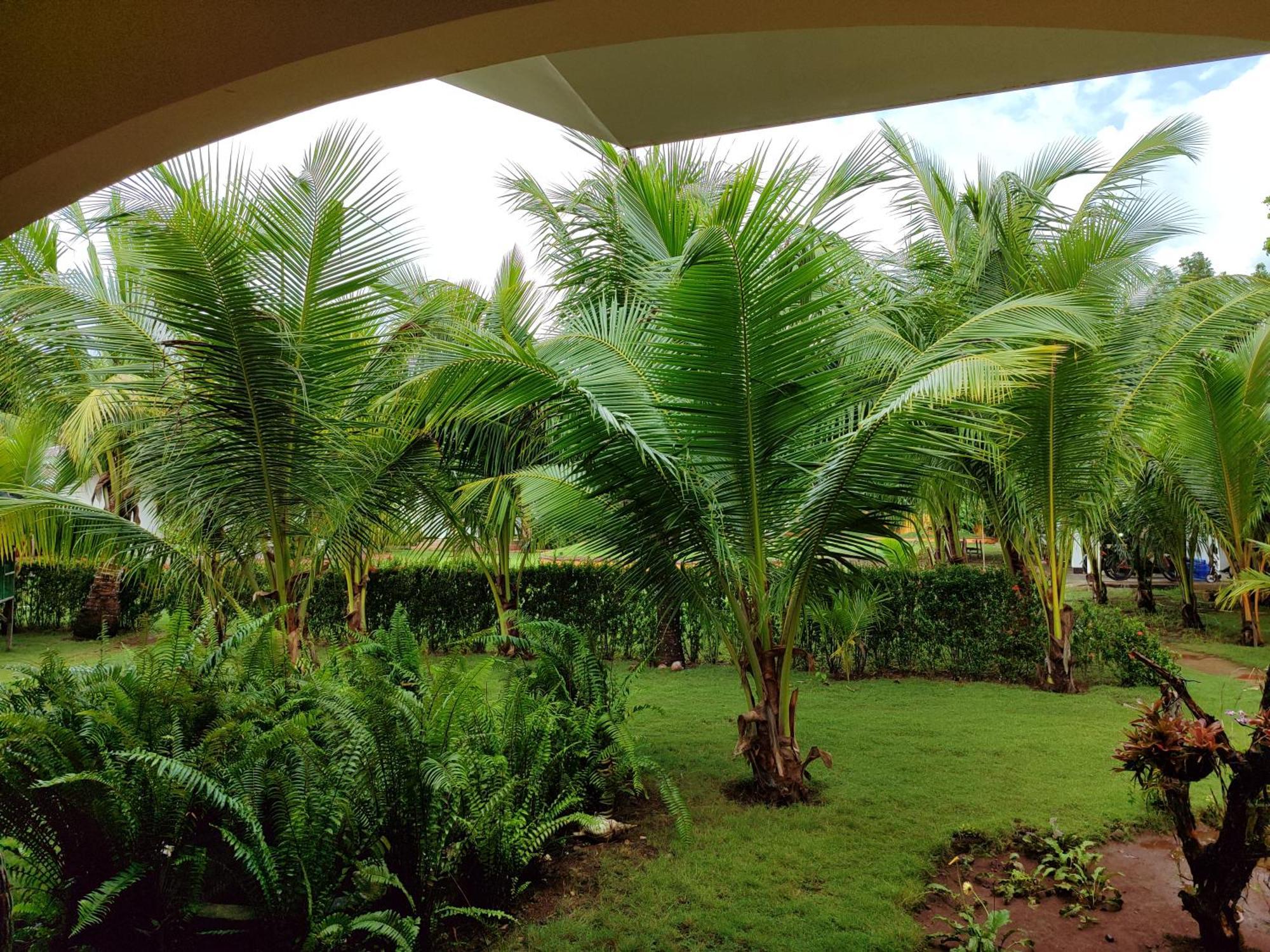 E&N Paradise Island Resort Siquijor Luaran gambar